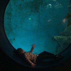 Meet your Posher, Ally